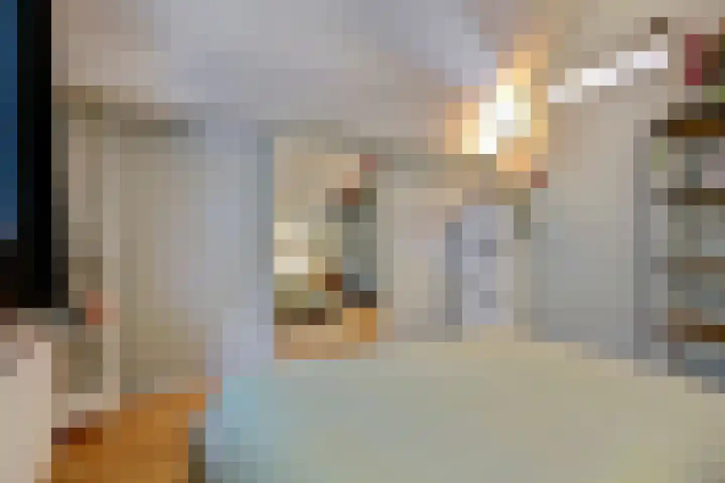 Hexelseweg 246 Daarle thumbnail 18