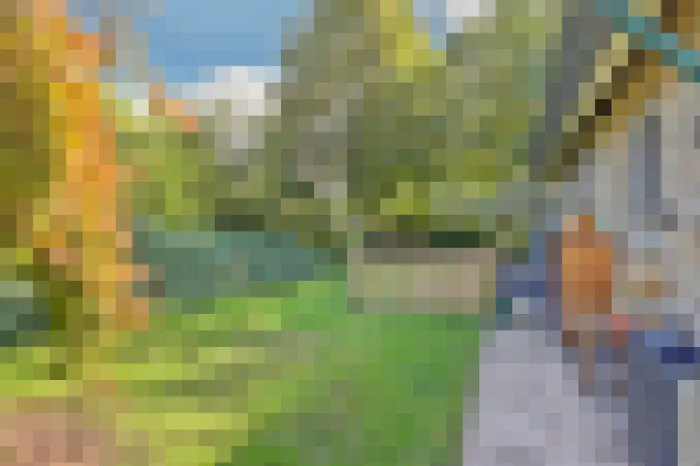 Hexelseweg 246 Daarle thumbnail 26