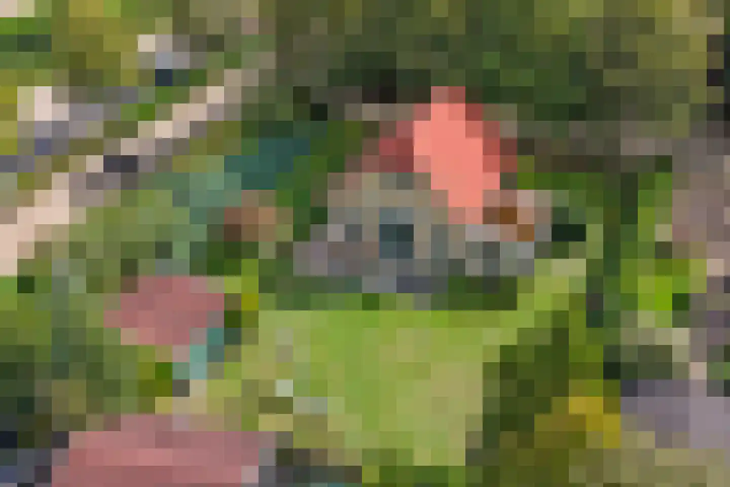 Hexelseweg 246 Daarle thumbnail 27