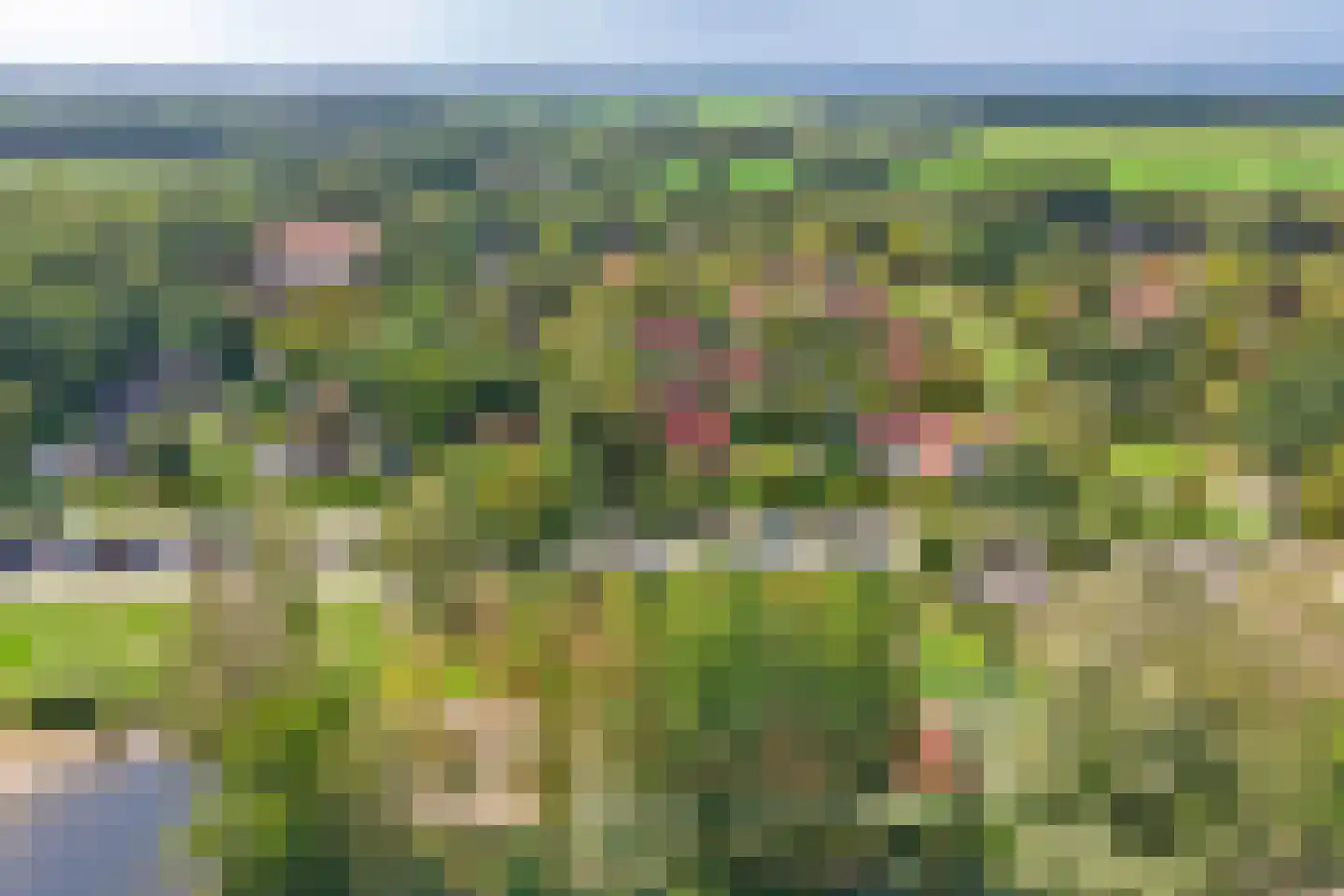 Hexelseweg 246 Daarle thumbnail 30