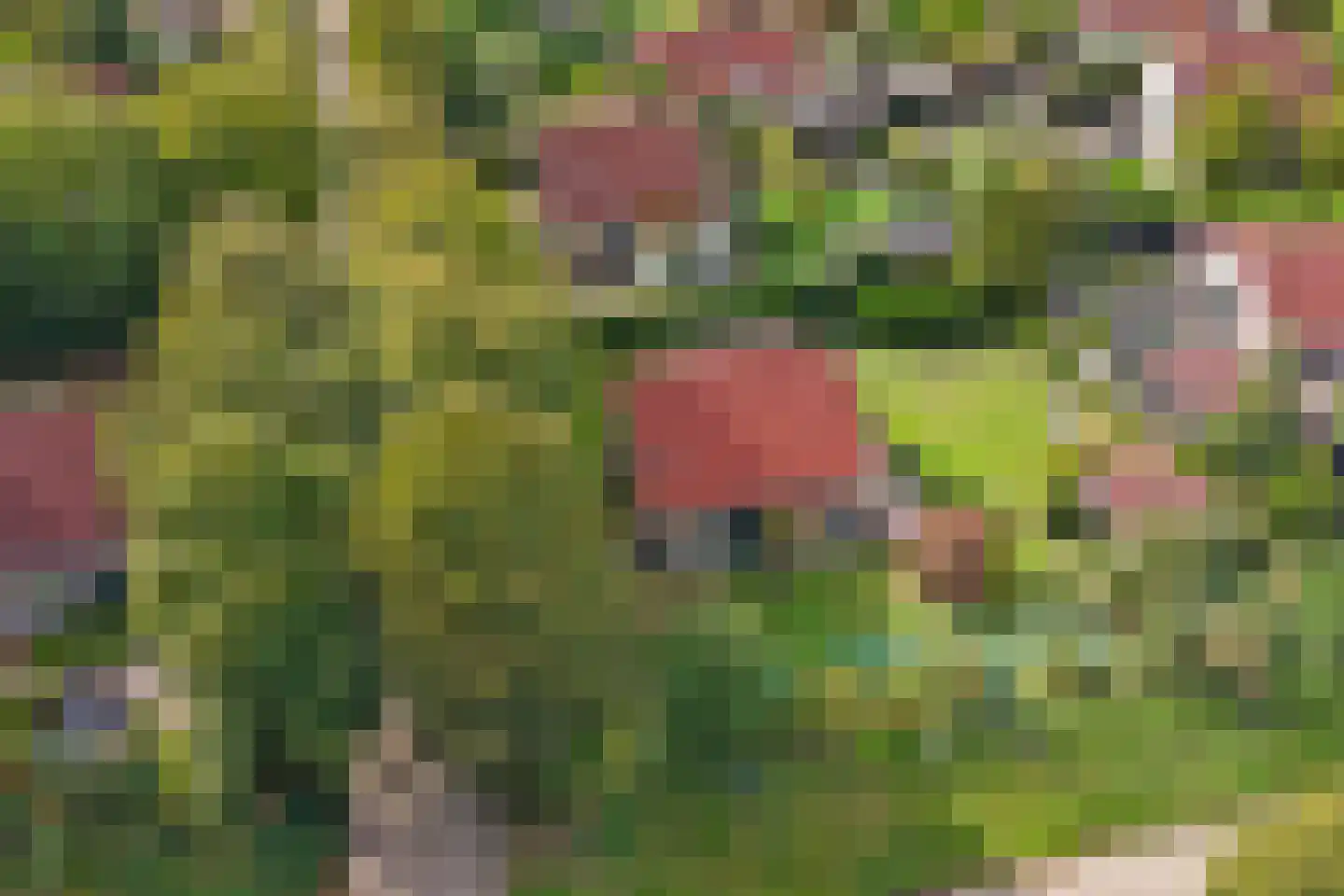 Hexelseweg 246 Daarle thumbnail 31