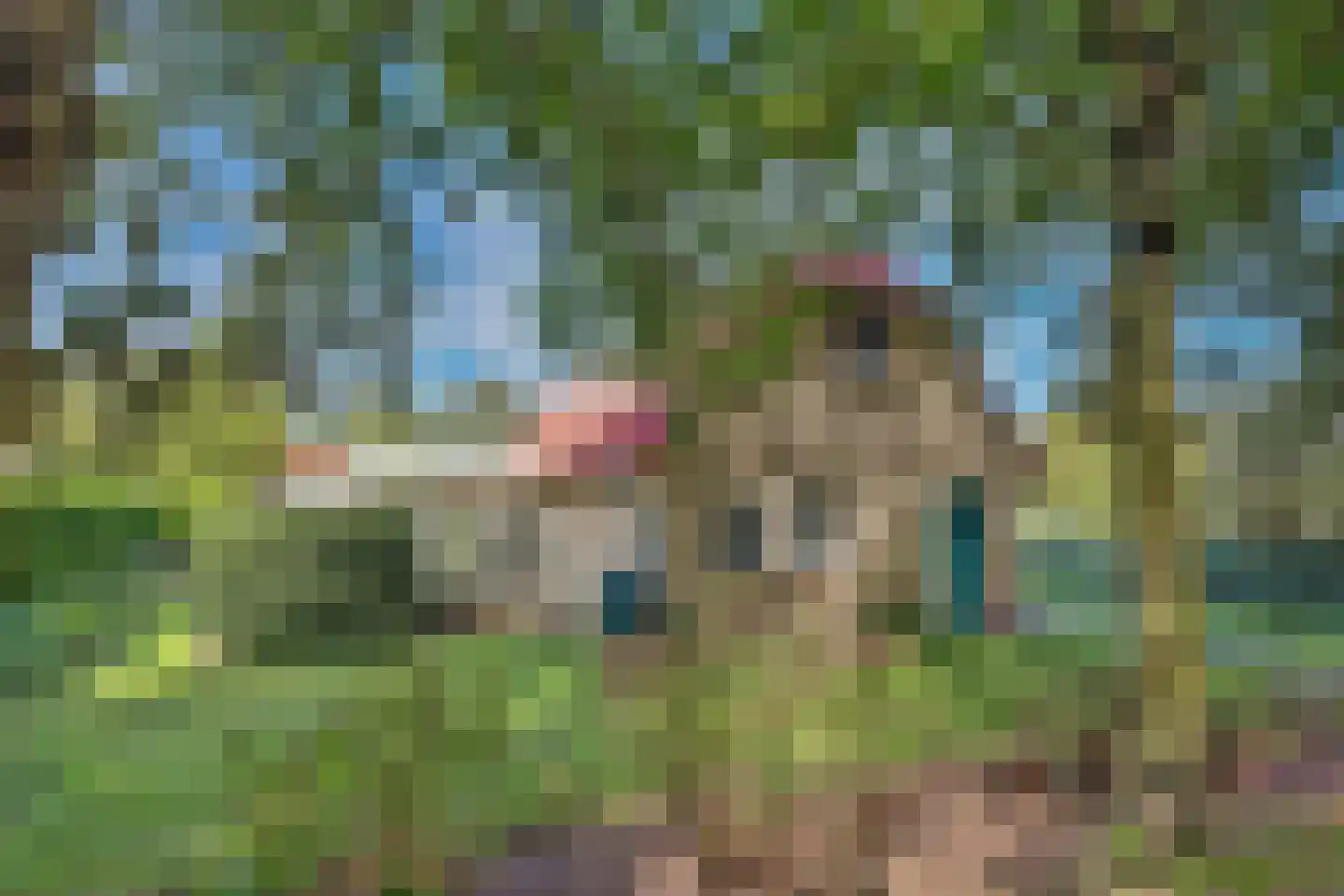 Hexelseweg 246 Daarle thumbnail 32