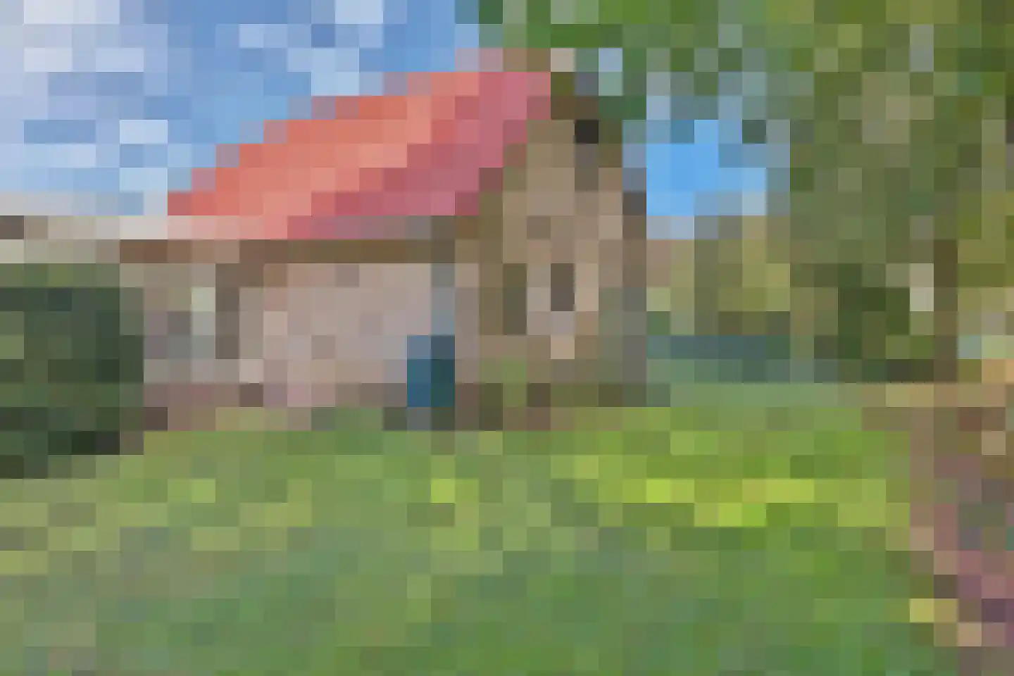 Hexelseweg 246 Daarle thumbnail 34