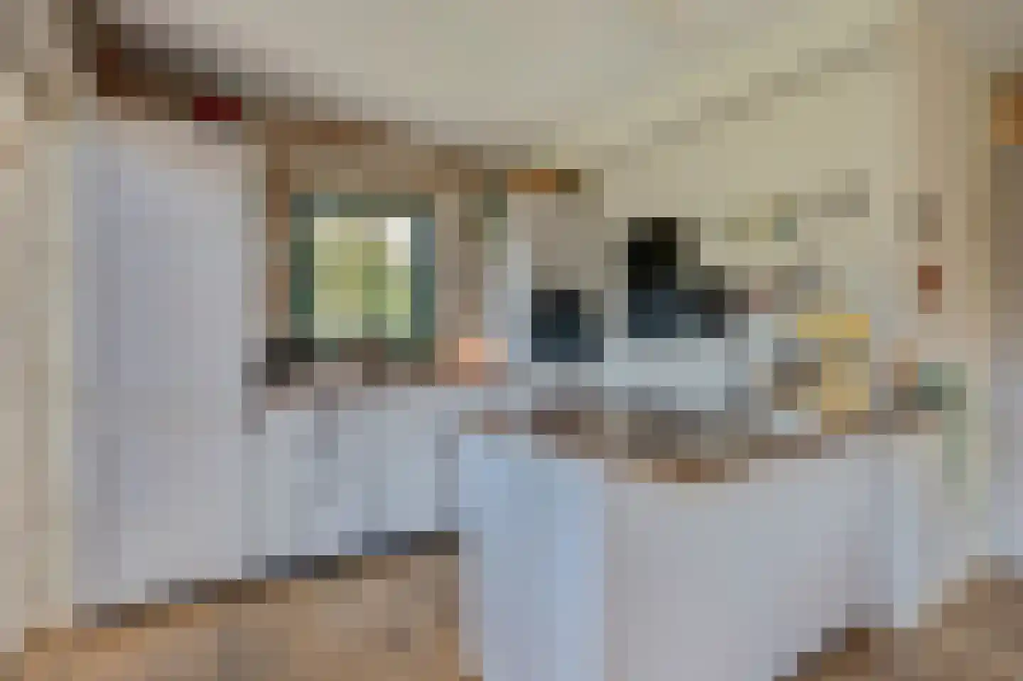 Hexelseweg 246 Daarle thumbnail 4