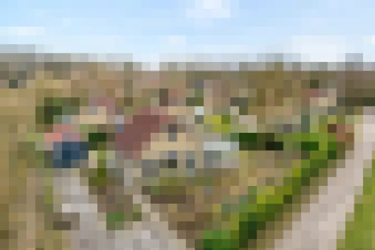 Hexelseweg 256 en Daarle
