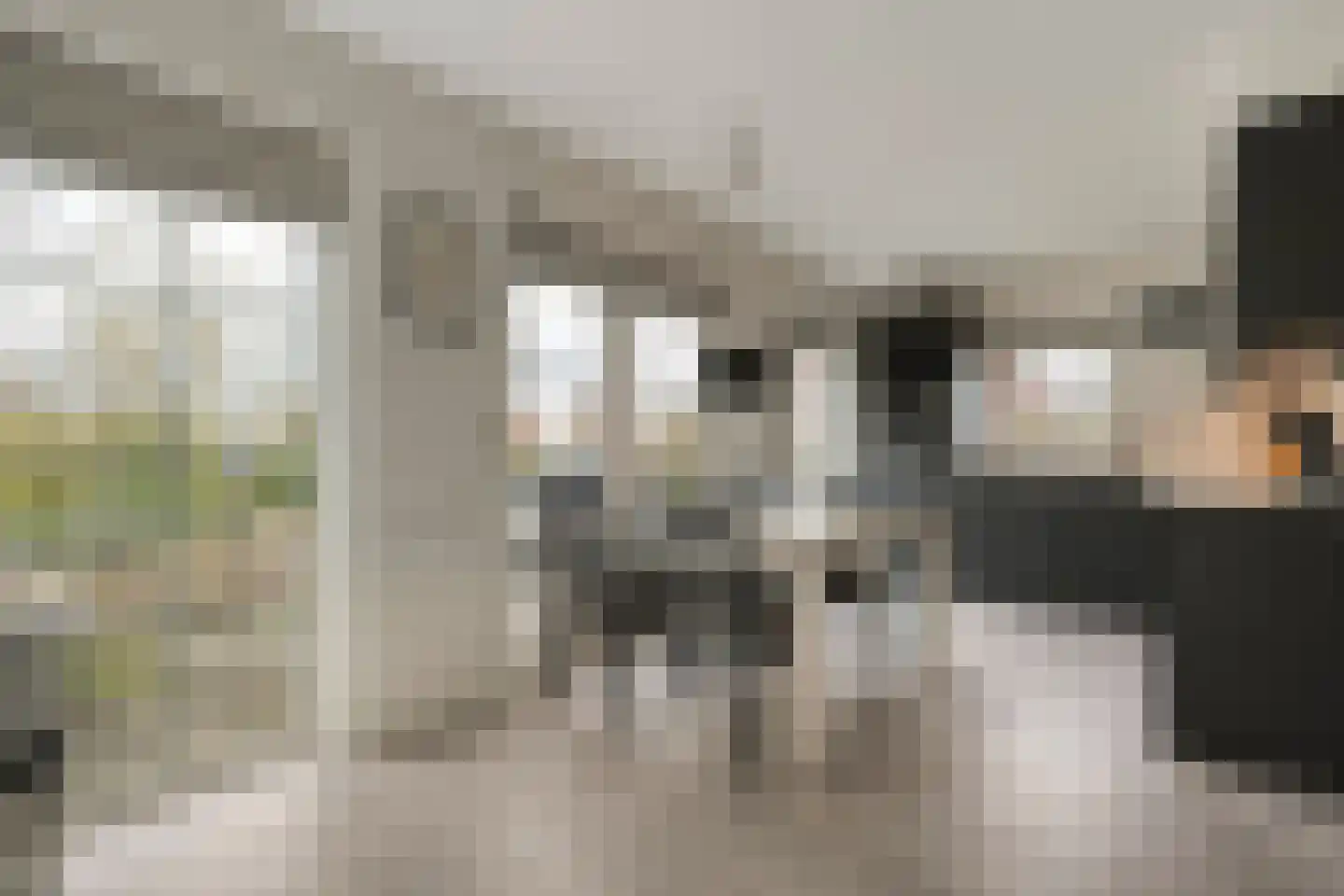 Hexelseweg 256 Daarle thumbnail 15