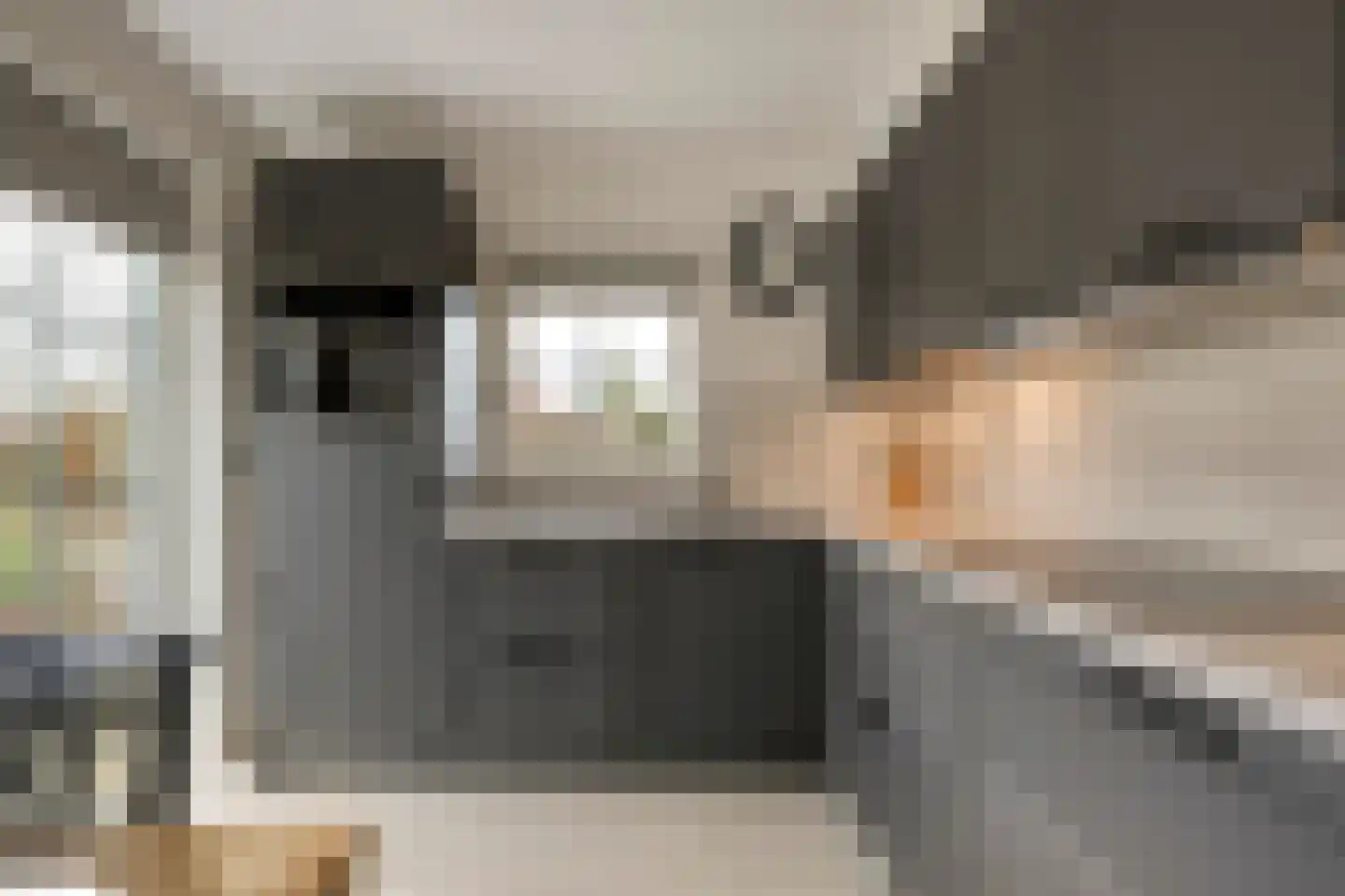 Hexelseweg 256 Daarle thumbnail 16