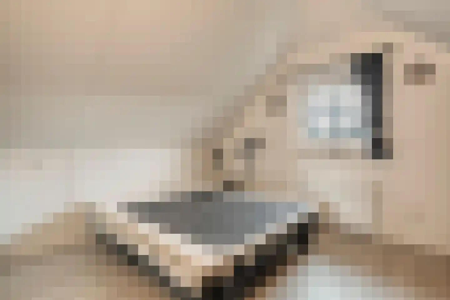 Hexelseweg 256 Daarle thumbnail 23