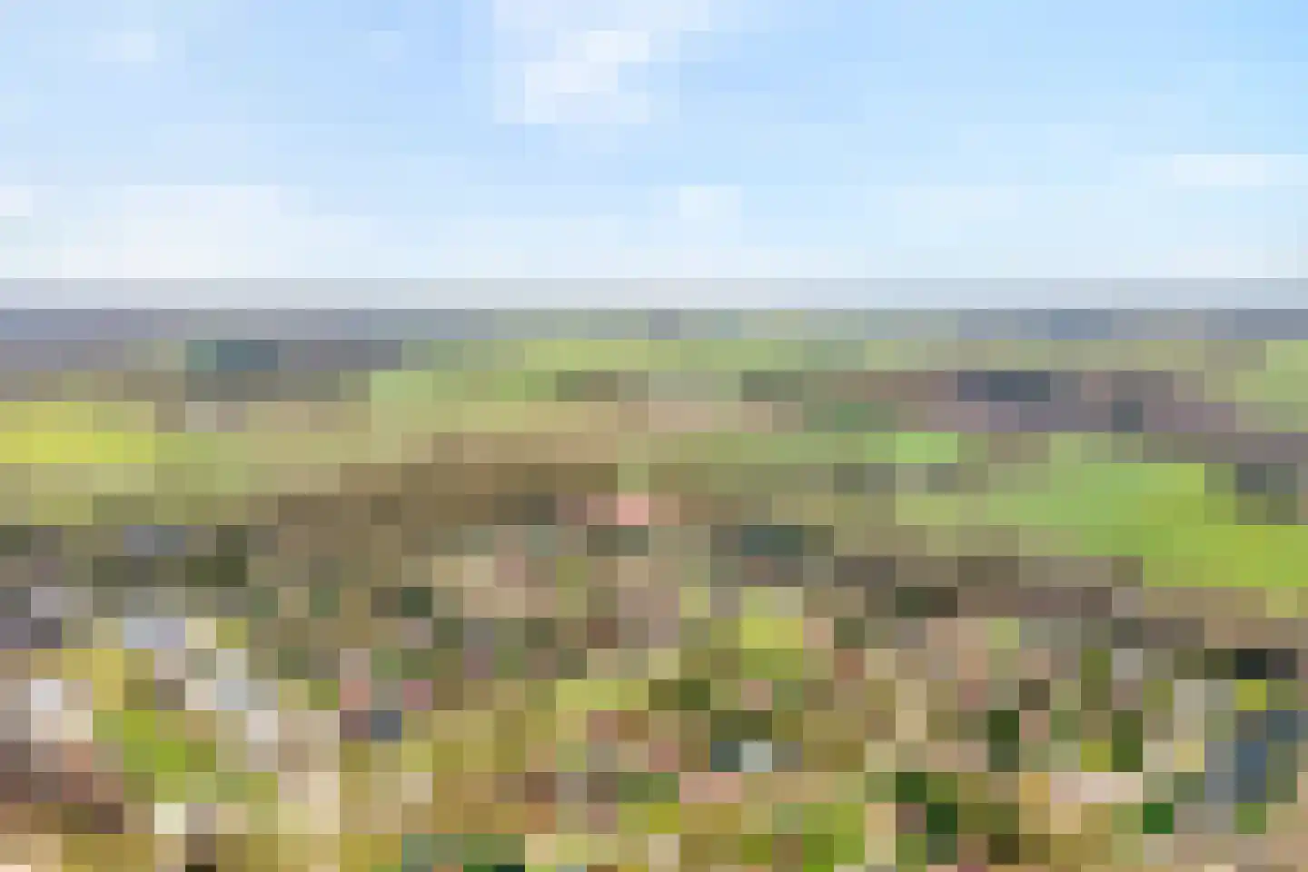 Hexelseweg 256 Daarle thumbnail 34