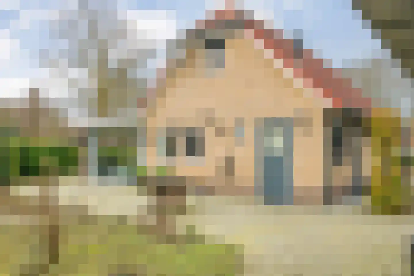 Hexelseweg 256 Daarle thumbnail 36