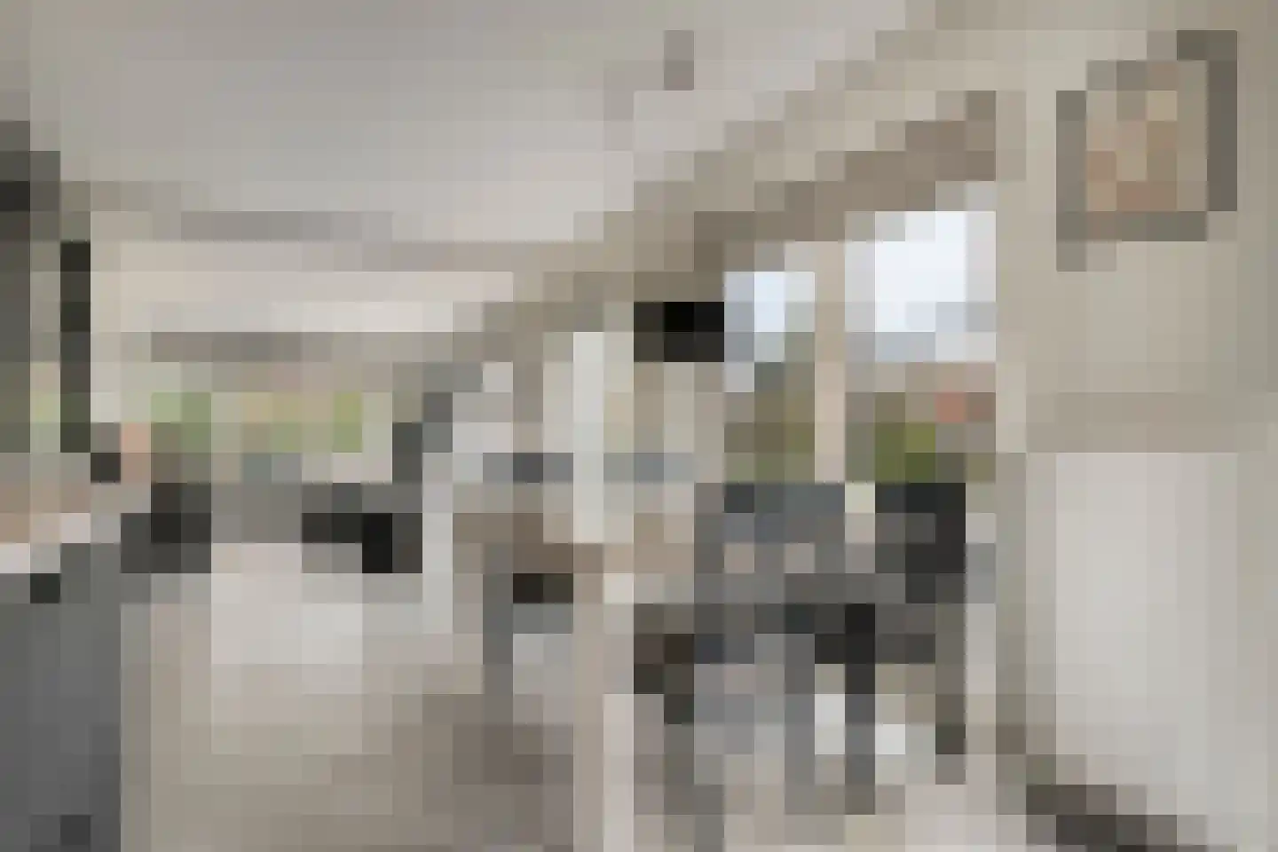 Hexelseweg 256 Daarle thumbnail 4
