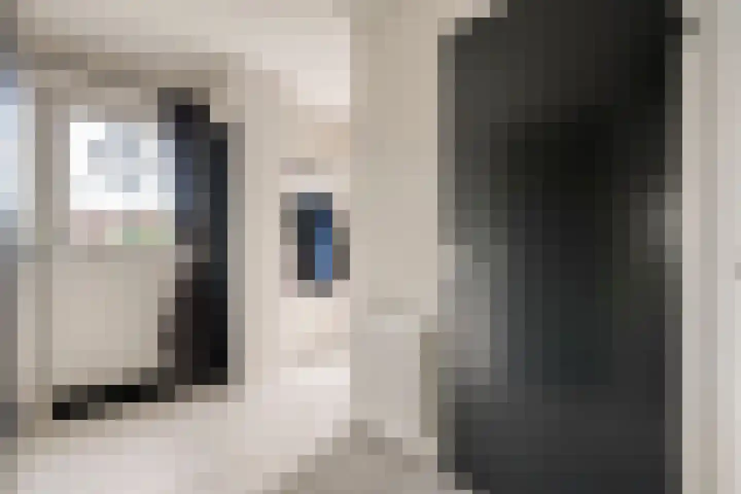 Hexelseweg 256 Daarle thumbnail 7