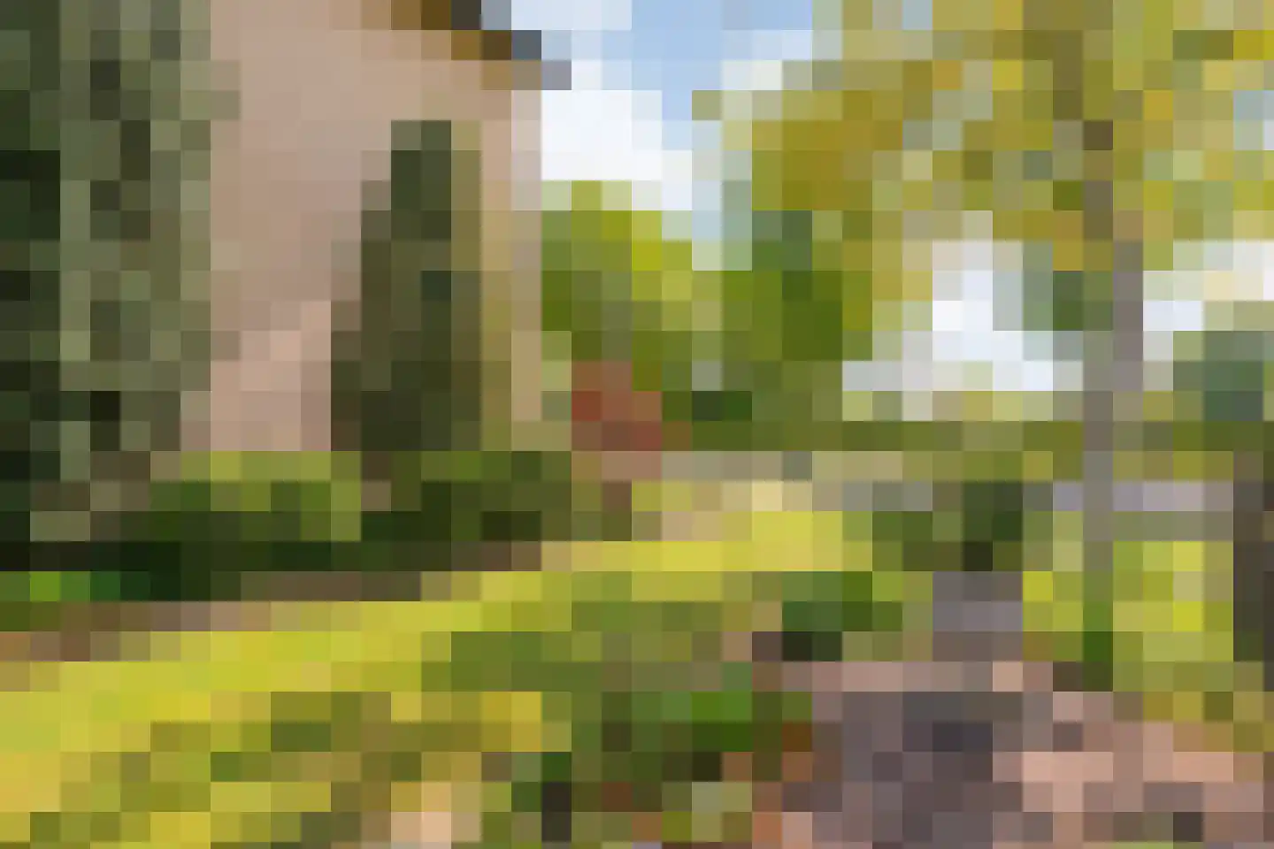 Hexelseweg 30 Wierden thumbnail 10