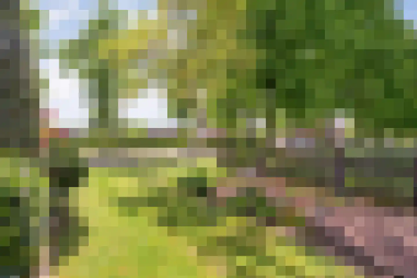 Hexelseweg 30 Wierden thumbnail 11