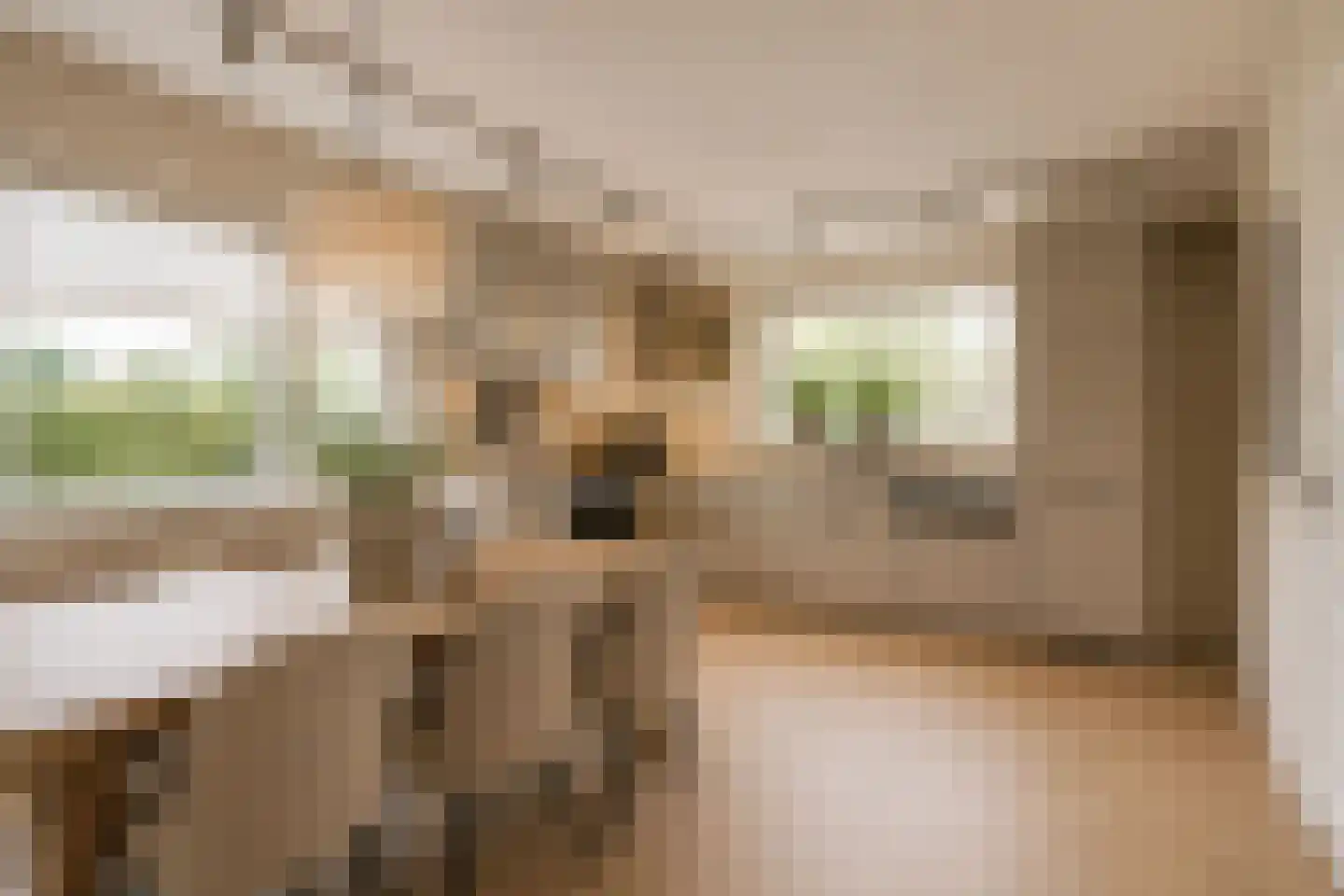 Hexelseweg 30 Wierden thumbnail 26