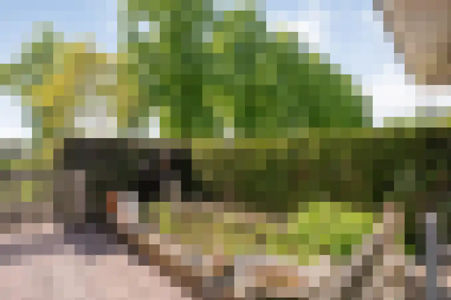 Hexelseweg 30 Wierden thumbnail 46