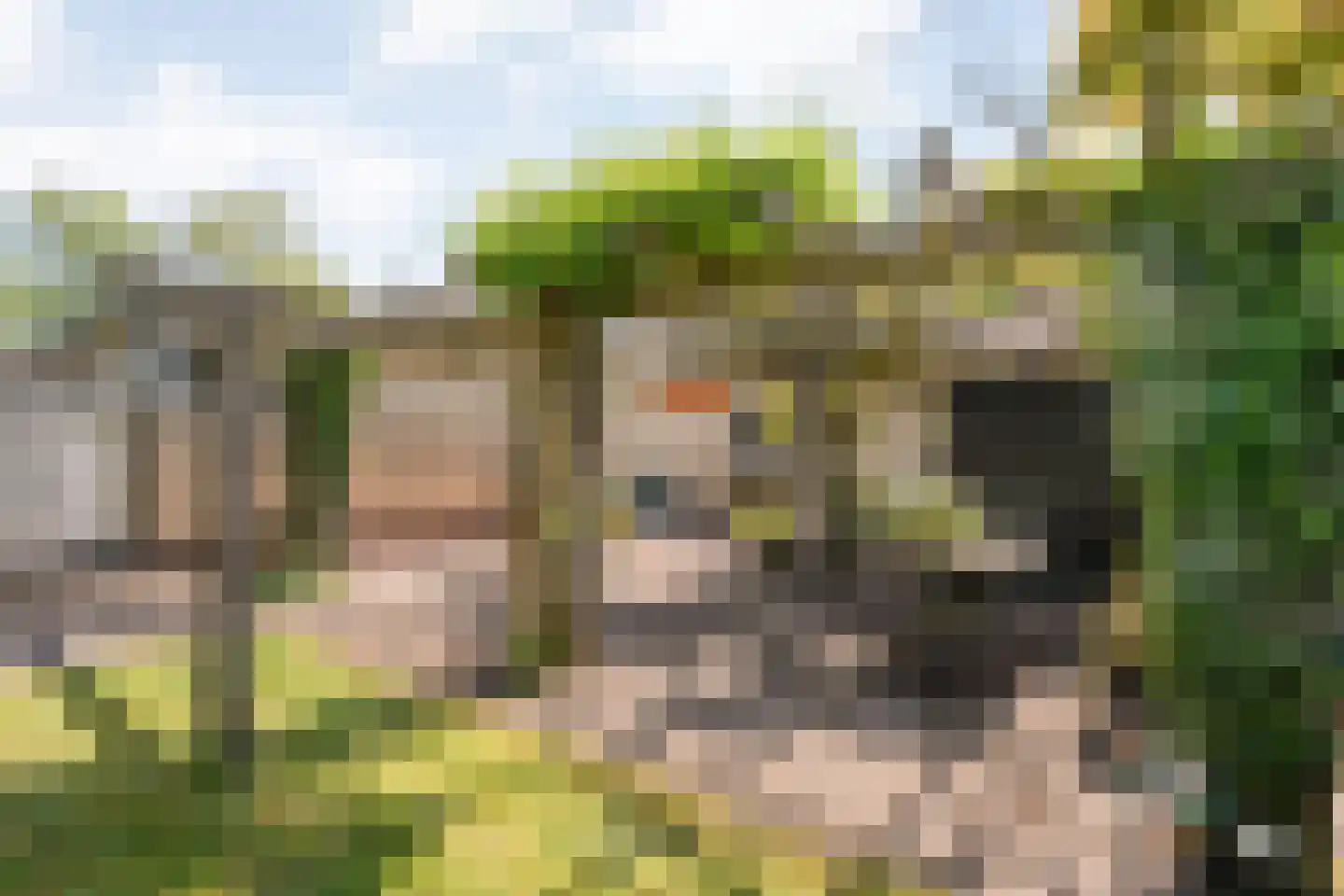 Hexelseweg 30 Wierden thumbnail 47