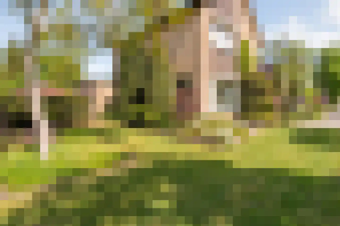 Hexelseweg 30 Wierden thumbnail 5
