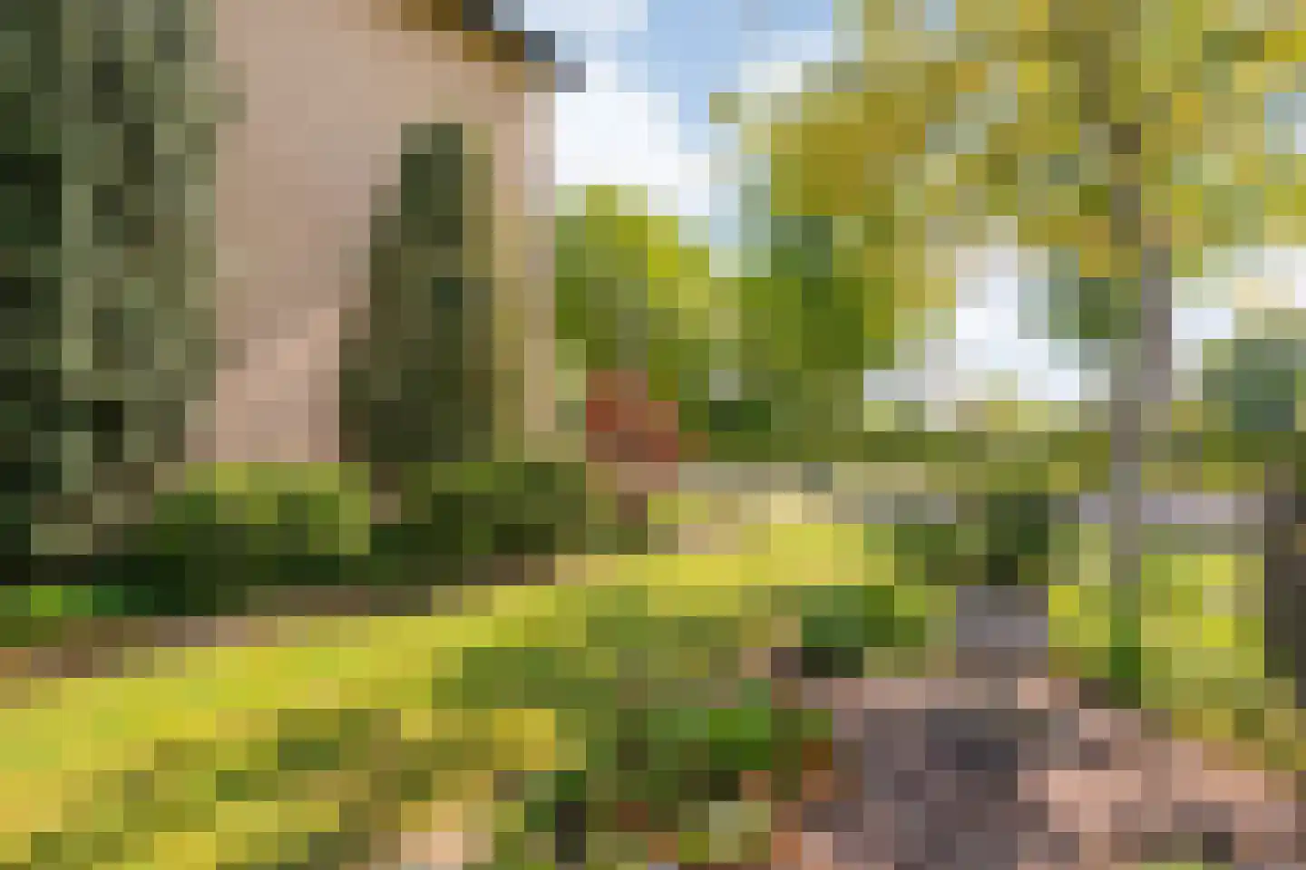 Hexelseweg 30 Wierden thumbnail 7