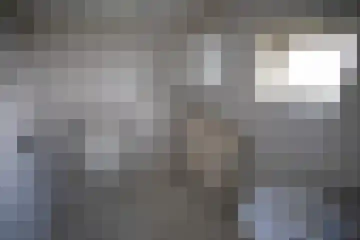 Hexelseweg 56 Hoge Hexel thumbnail 13