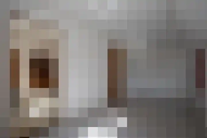 Hexelseweg 56 Hoge Hexel thumbnail 14