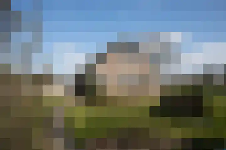 Hexelseweg 56 Hoge Hexel thumbnail 24