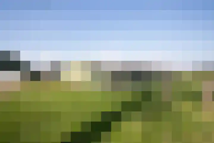 Hexelseweg 56 Hoge Hexel thumbnail 30