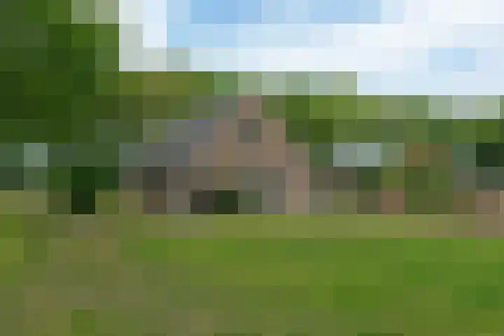Hexelseweg 56 Hoge Hexel thumbnail 32