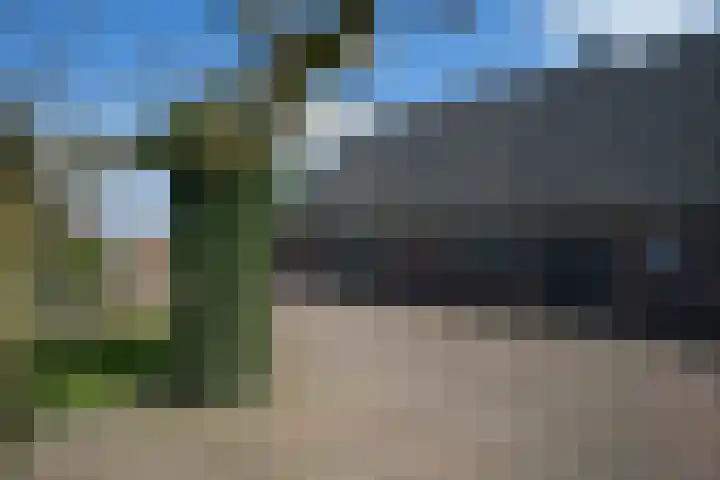 Hexelseweg 56 Hoge Hexel thumbnail 4