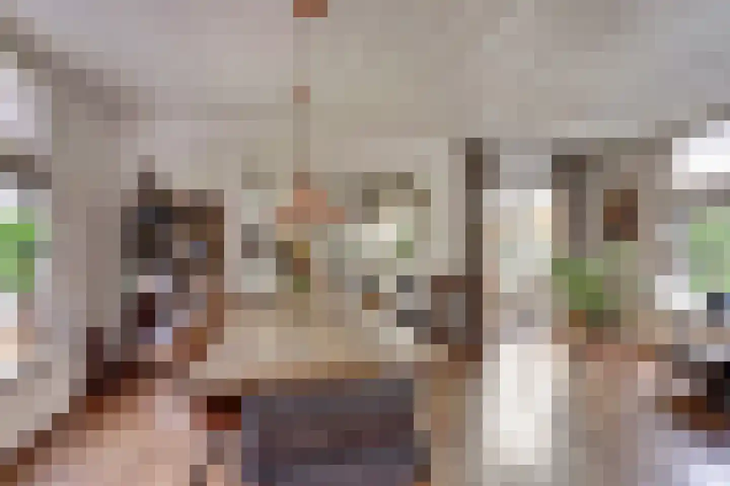 Hexelseweg 8 Wierden thumbnail 12