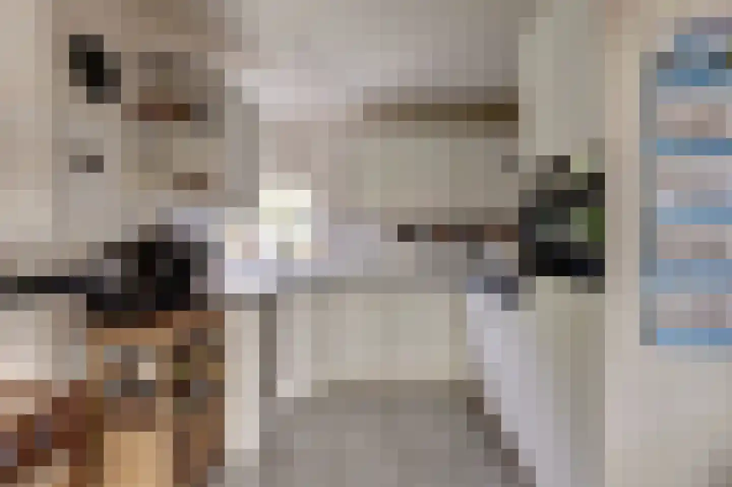 Hexelseweg 8 Wierden thumbnail 17