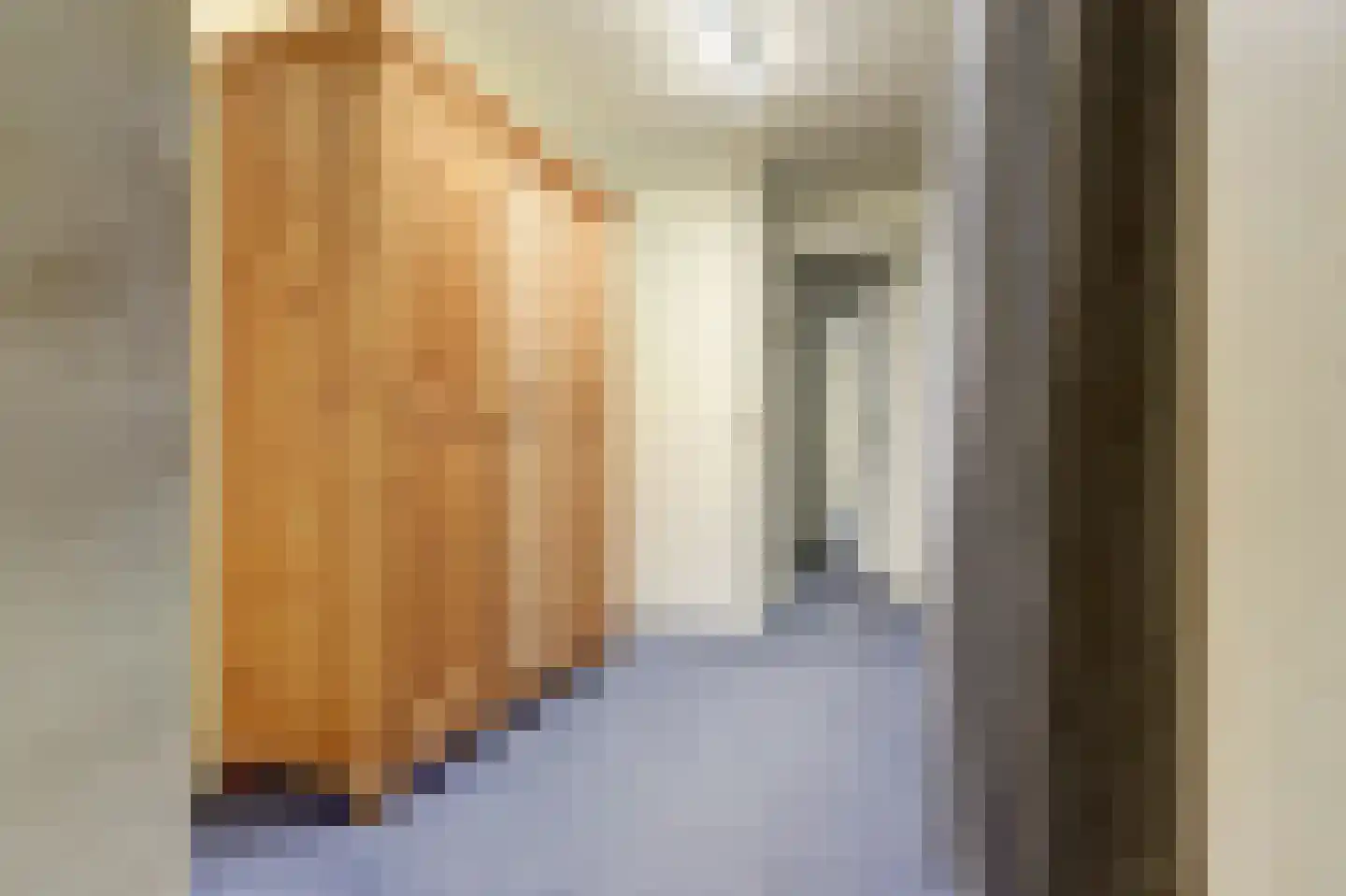 Hexelseweg 8 Wierden thumbnail 34