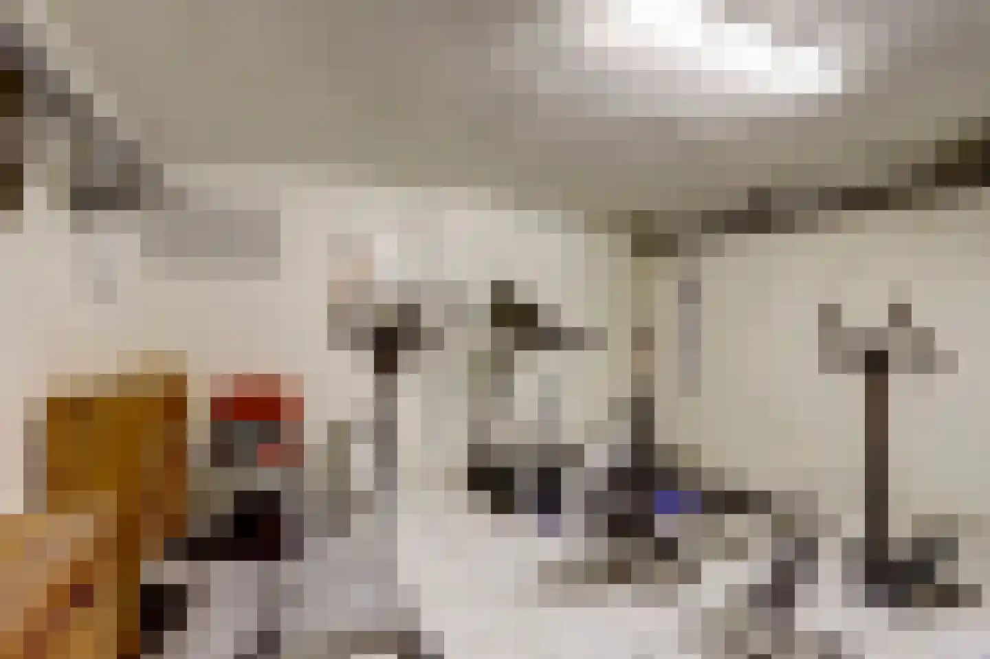 Hexelseweg 8 Wierden thumbnail 37