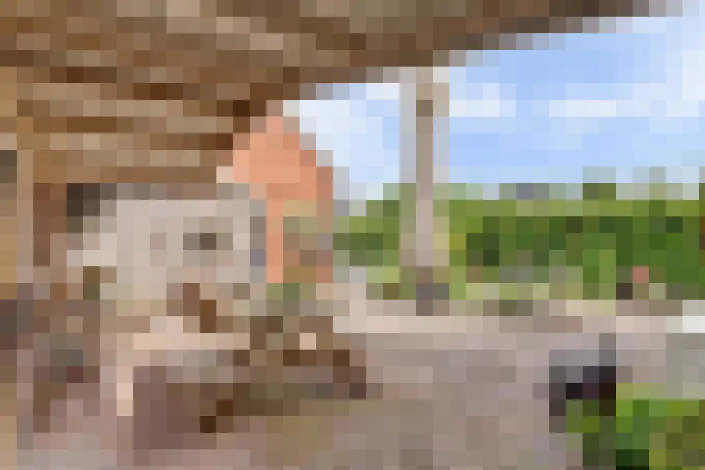 Hexelseweg 8 Wierden thumbnail 44