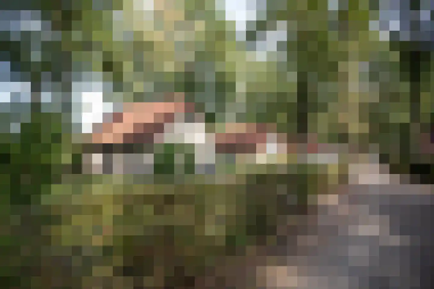 Hexelseweg 80 Z103 Hoge Hexel thumbnail 5