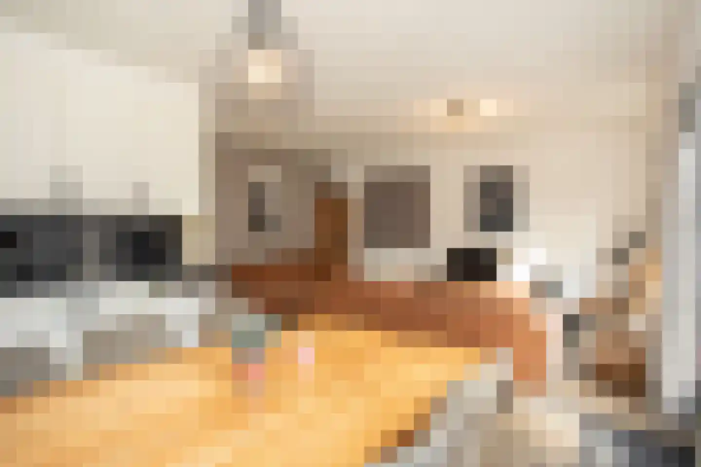Hexelseweg 80 Z103 Hoge Hexel thumbnail 7