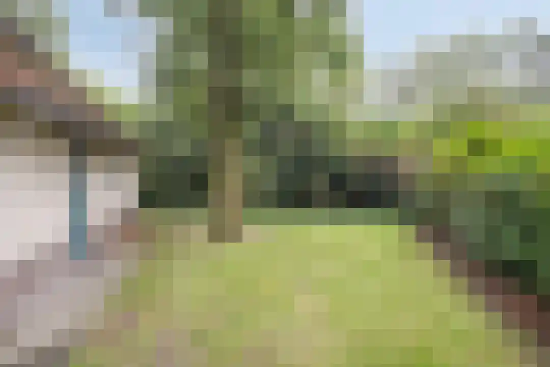 Hexelseweg 80 Z110 Hoge Hexel thumbnail 27