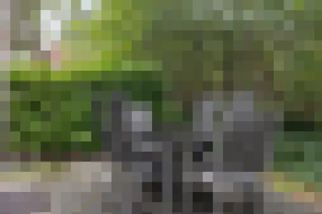 Hexelseweg 80 Z110 Hoge Hexel thumbnail 29