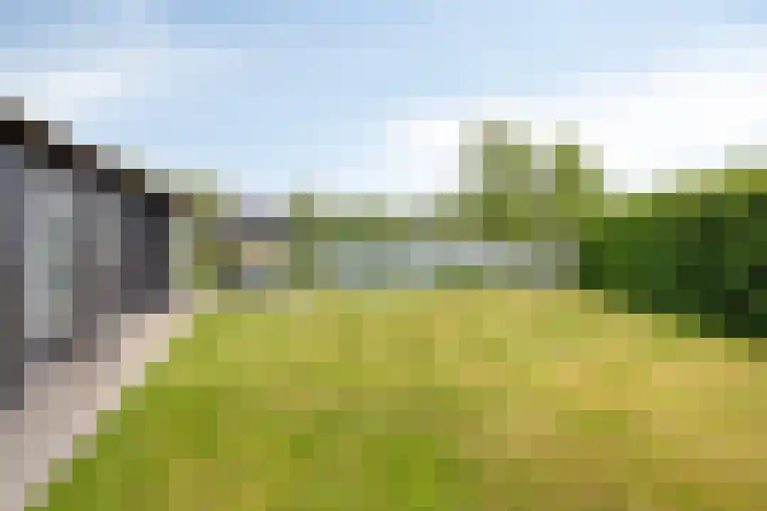 Hexelseweg 80 Z304 Hoge Hexel thumbnail 32