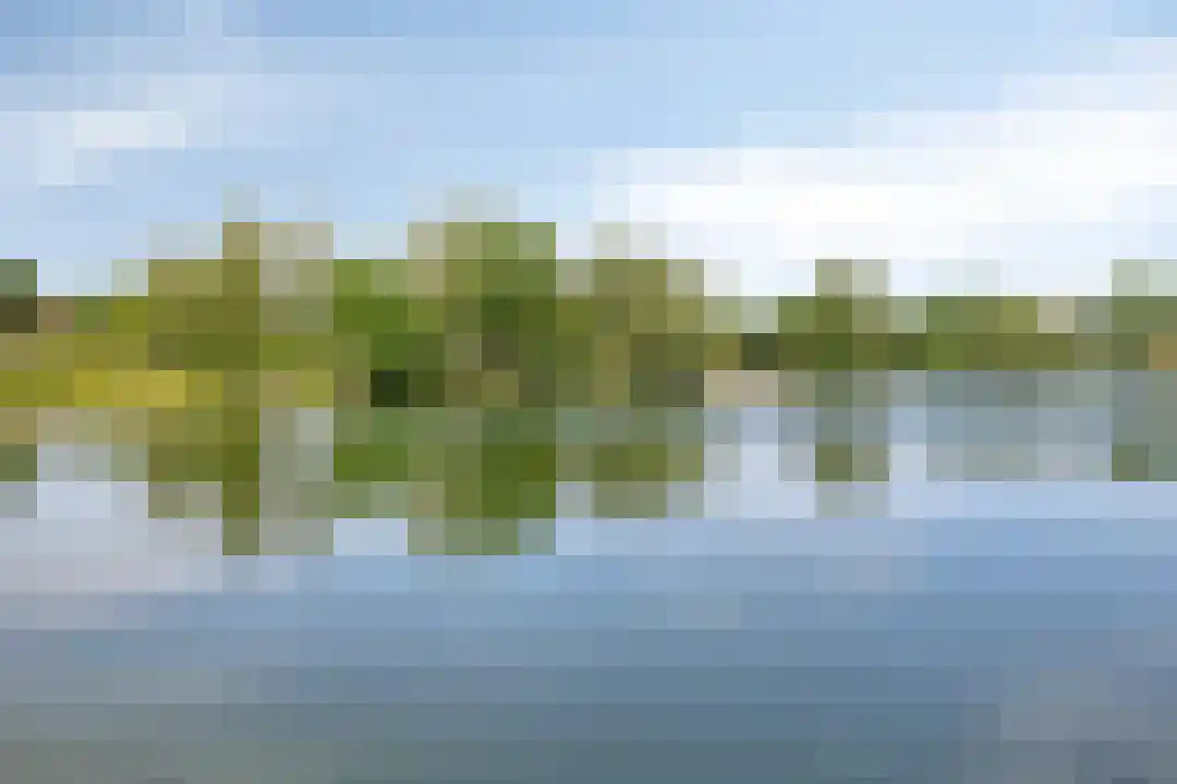 Hexelseweg 80 Z304 Hoge Hexel thumbnail 36