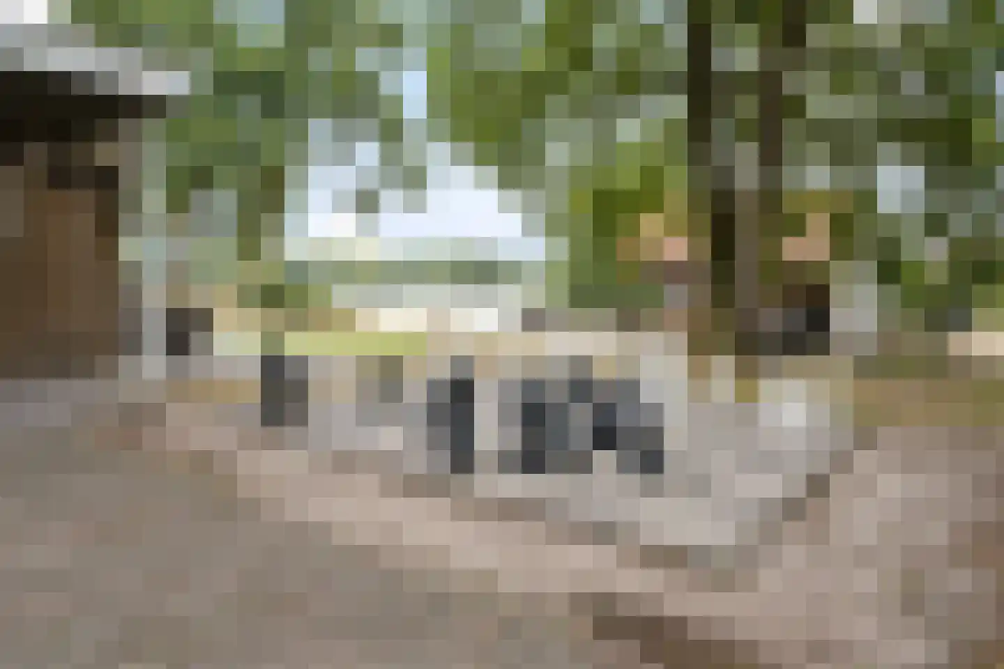 Hexelseweg 80 Z304 Hoge Hexel thumbnail 49