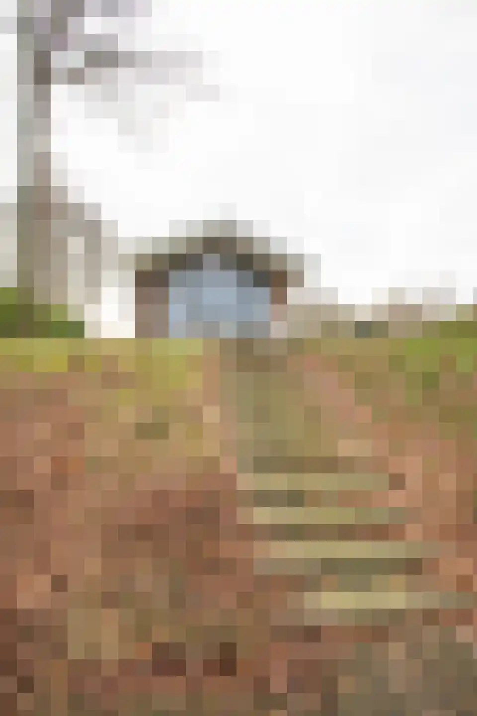 Hexelseweg 80 Z310 Hoge Hexel thumbnail 28