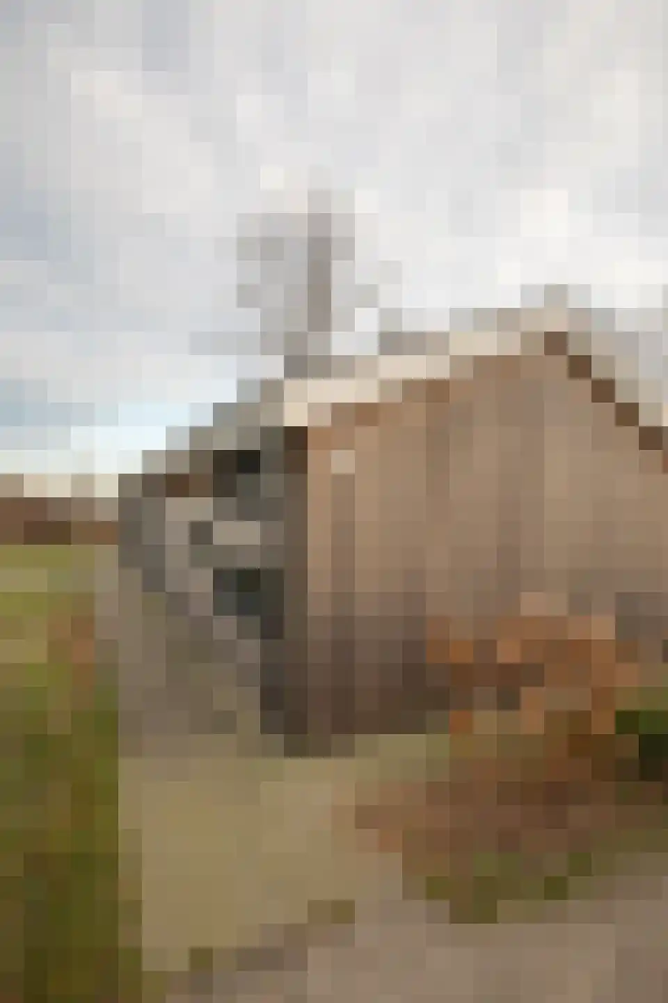 Hexelseweg 80 Z310 Hoge Hexel thumbnail 31