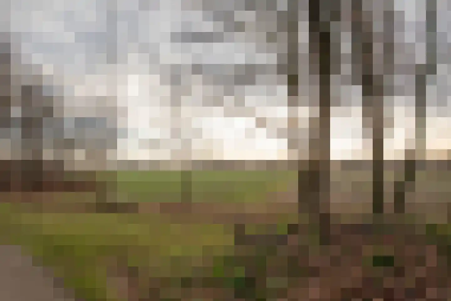 Hexelseweg 80 Z310 Hoge Hexel thumbnail 34