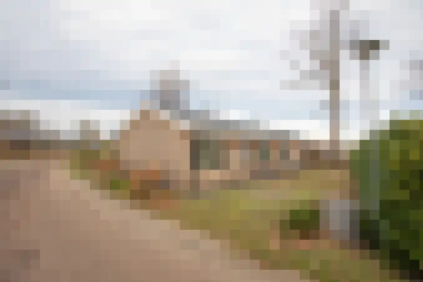 Hexelseweg 80 Z310 Hoge Hexel thumbnail 4