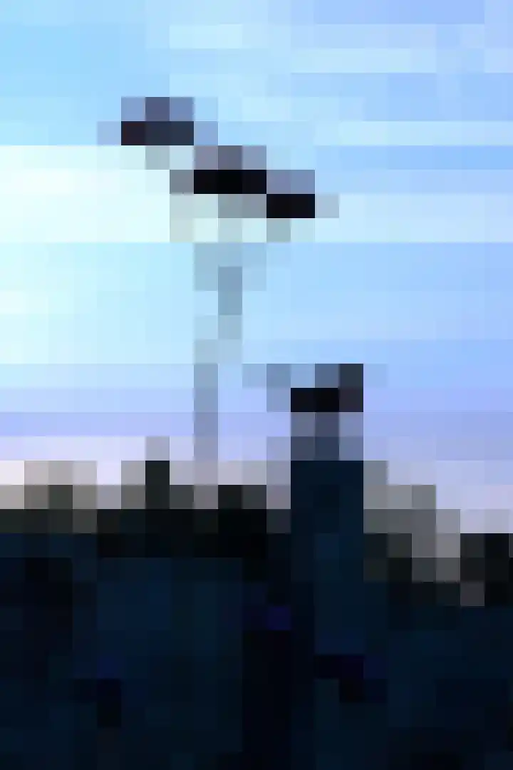 Hexelseweg 80 Z325 Hoge Hexel thumbnail 25