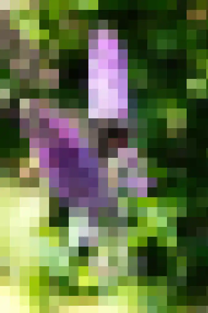 Hexelseweg 80 Z325 Hoge Hexel thumbnail 31