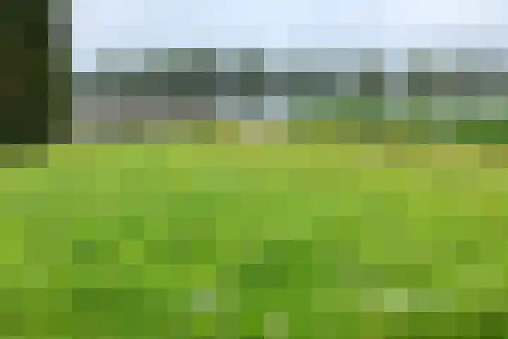 Hexelseweg 80 Z325 Hoge Hexel thumbnail 36