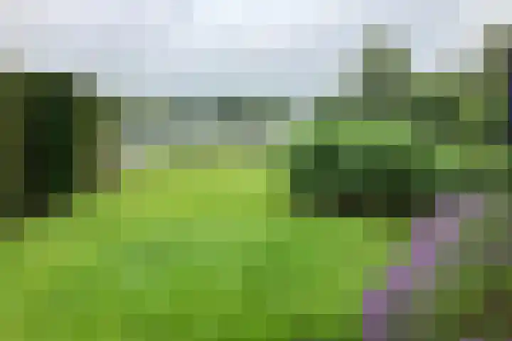 Hexelseweg 80 Z325 Hoge Hexel thumbnail 37
