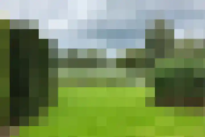 Hexelseweg 80 Z325 Hoge Hexel thumbnail 39